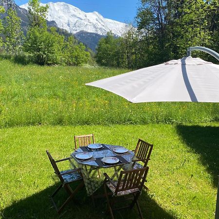 Appartement Lumineux Et Cosy En Rez De Jardin Saint-Gervais-les-Bains Eksteriør billede