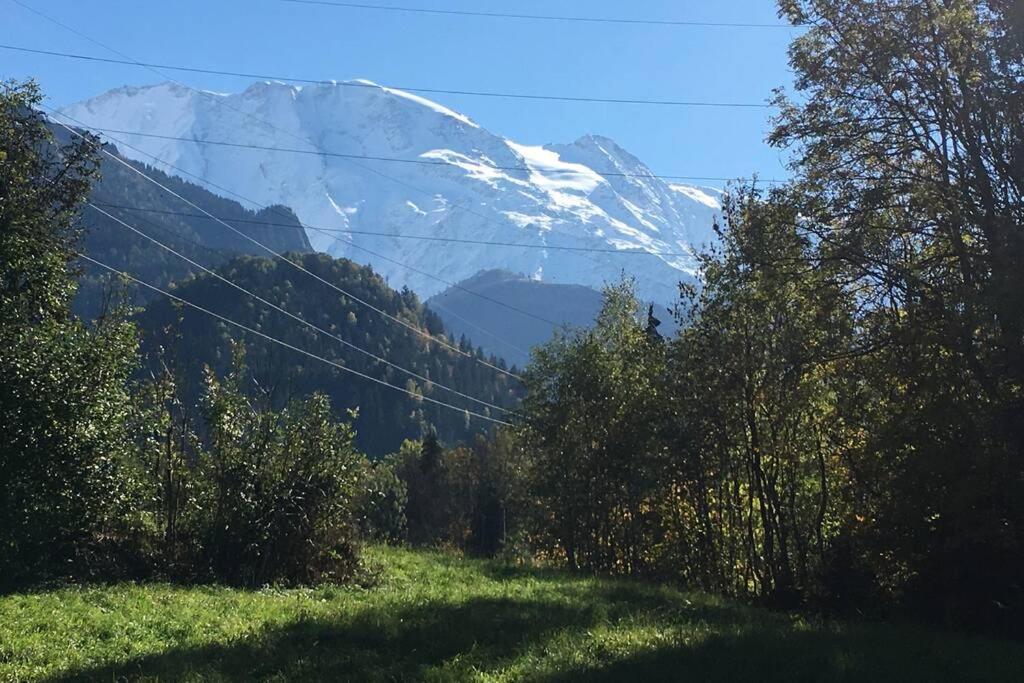 Appartement Lumineux Et Cosy En Rez De Jardin Saint-Gervais-les-Bains Eksteriør billede