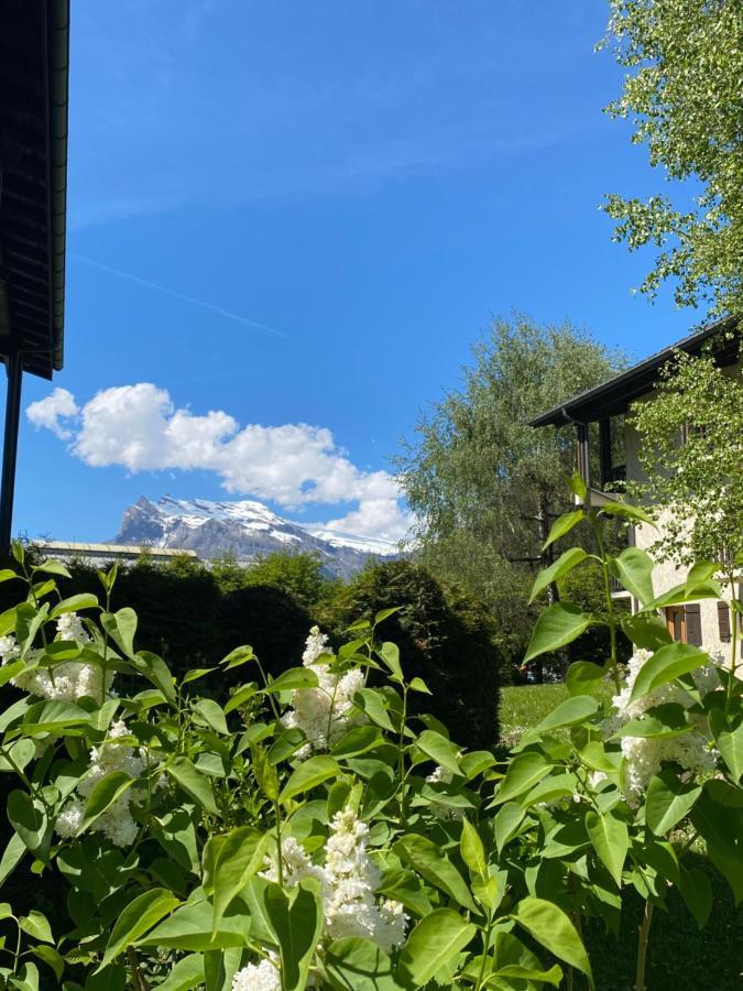 Appartement Lumineux Et Cosy En Rez De Jardin Saint-Gervais-les-Bains Eksteriør billede